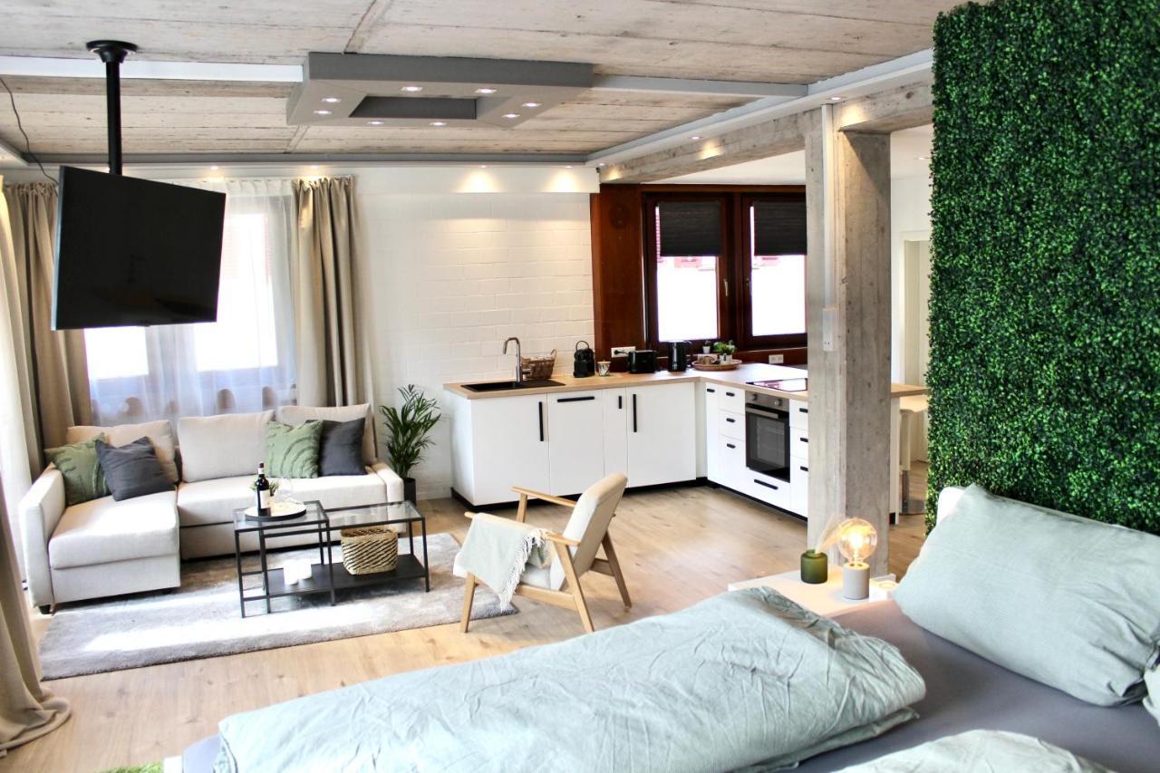 Vier Sind Hier Apartments Rottweil Εξωτερικό φωτογραφία