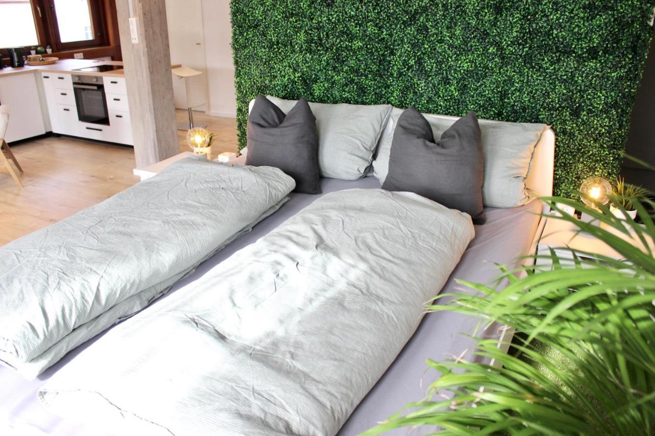 Vier Sind Hier Apartments Rottweil Εξωτερικό φωτογραφία